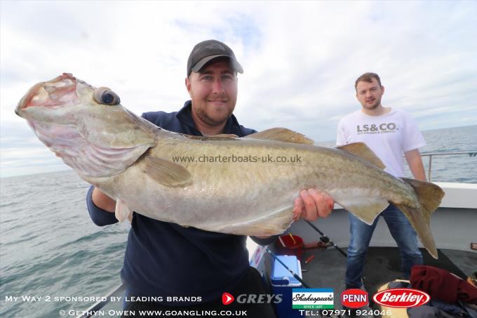 14 lb Pollock by Rob