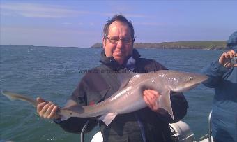 16 lb 6 oz Starry Smooth-hound by Unknown