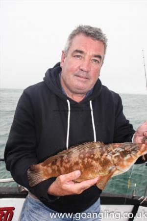 2 lb Ballan Wrasse by Dave