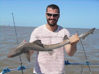 6 lb 5 oz Starry Smooth-hound by Adam