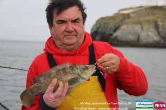 2 lb Ballan Wrasse by Mick