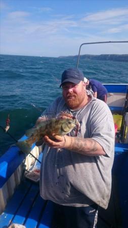 3 lb Ballan Wrasse by Dave Harrison