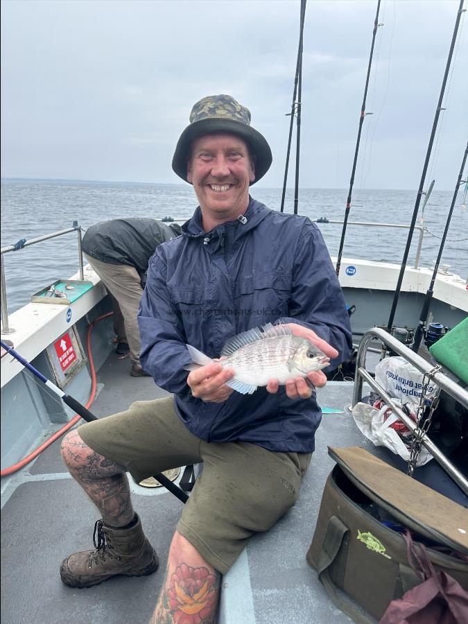 10 oz Black Sea Bream by Mark