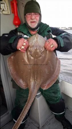 13 lb Blonde Ray by Ash mcintyre