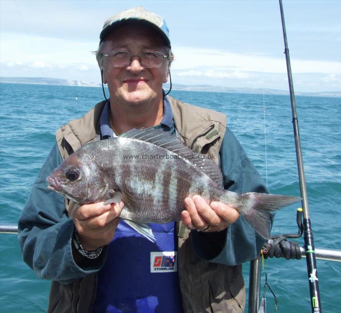 3 lb 12 oz Black Sea Bream by Andy Collings