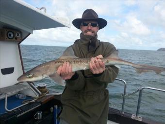 4 lb 8 oz Starry Smooth-hound by Unknown