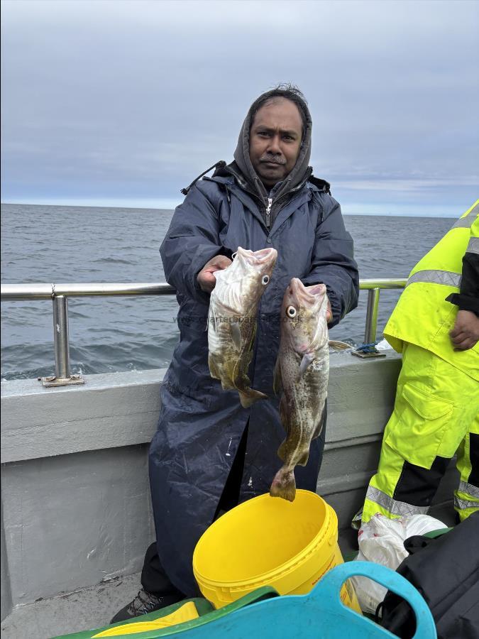 3 lb Cod by Unknown