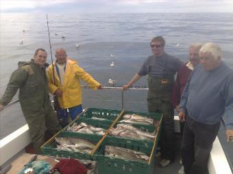 12 lb Cod by Unknown