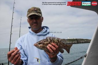 1 lb Ballan Wrasse by Neil