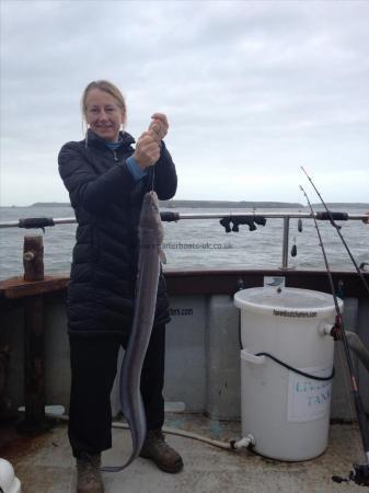 12 lb Conger Eel by Unknown