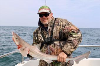 9 lb Smooth-hound (Common) by Simon Mawdsley