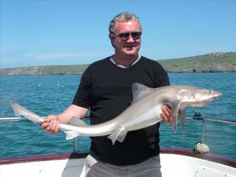 17 lb 8 oz Starry Smooth-hound by Unknown