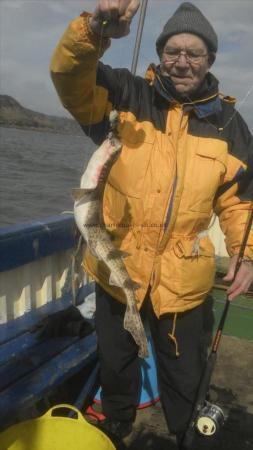 2 lb 7 oz Lesser Spotted Dogfish by George W
