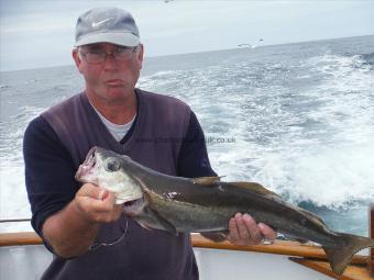 7 lb 2 oz Pollock by Sean