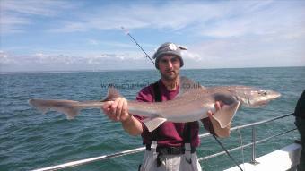12 lb 4 oz Starry Smooth-hound by justin webber