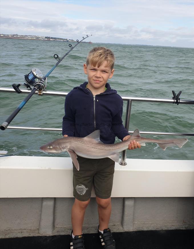 5 lb 8 oz Starry Smooth-hound by Bob Marshall