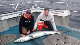 110 lb Blue Shark by Kevin McKie