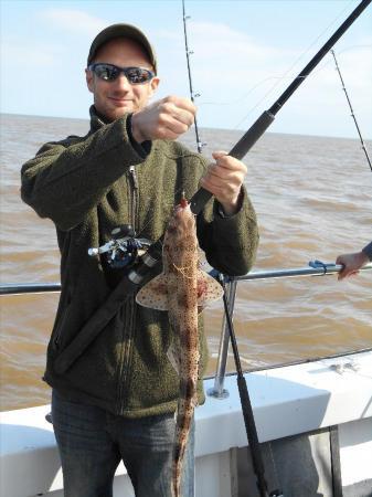 2 lb Lesser Spotted Dogfish by Tiff