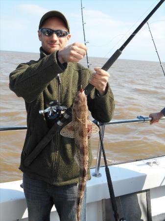 2 lb Lesser Spotted Dogfish by Tiff