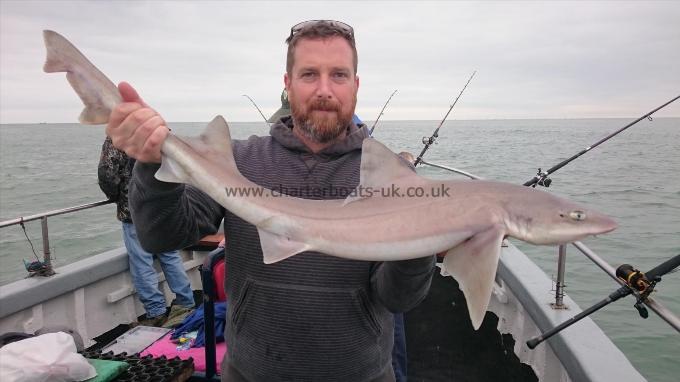 10 lb 4 oz Starry Smooth-hound by Steve from brighton