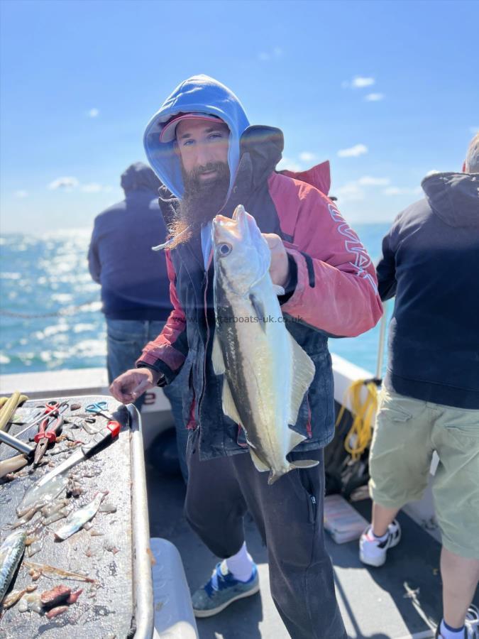 4 lb Pollock by Ed Hollyoake