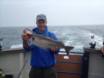 5 lb Coalfish (Coley/Saithe) by Mark Lowman