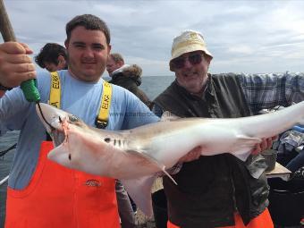 40 lb Tope by james caught 2nd aug 2017