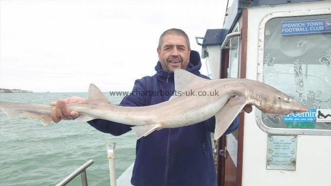 10 lb Smooth-hound (Common) by Archie