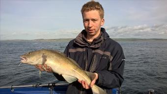 7 lb Cod by Stephen Wake