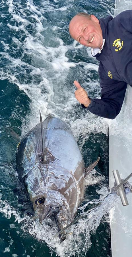 480 lb Bluefin Tuna by Cyril williams
