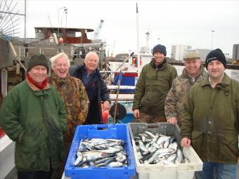 1 lb Herring by Brent Pope and Friends