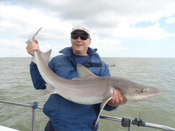 22 lb 13 oz Smooth-hound (Common) by Unknown