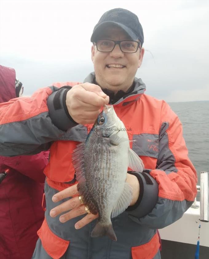 1 lb 6 oz Black Sea Bream by Marin