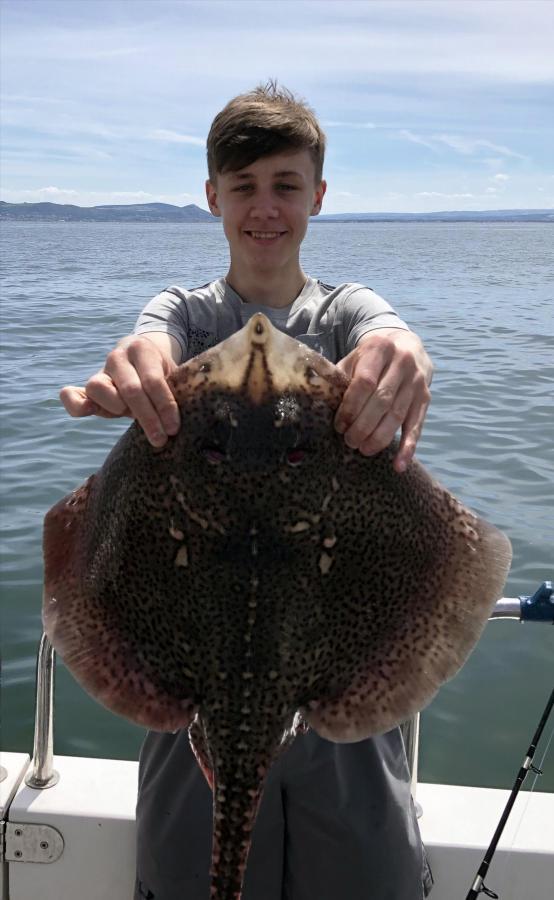 5 Kg Thornback Ray by Ray Crowe