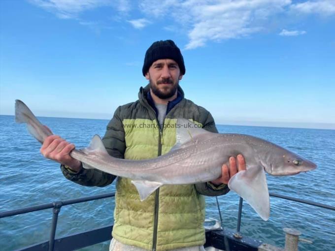 12 lb Smooth-hound (Common) by Unknown