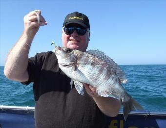 3 lb 4 oz Black Sea Bream by David Gibson