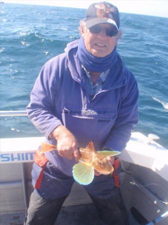 1 lb 14 oz Tub Gurnard by Pip Ward from Boston Lincs.