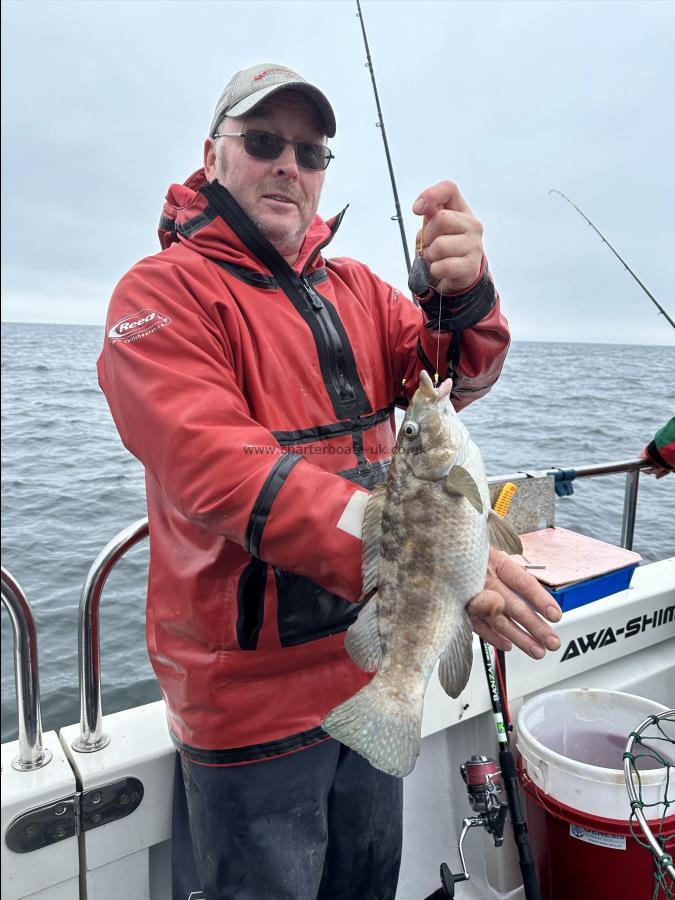 3 Kg Ballan Wrasse by Ray Crowe