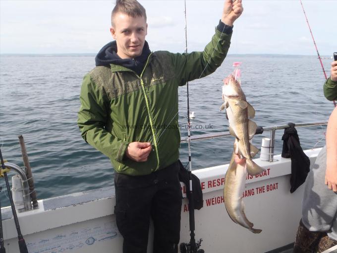 3 lb 6 oz Cod by Unknown