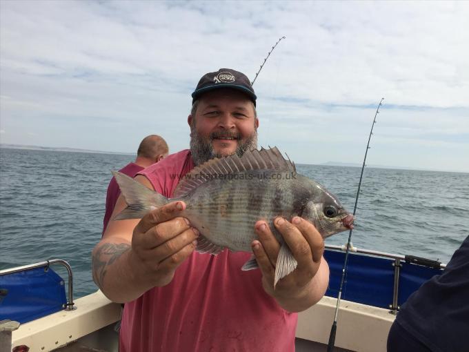 2 lb 4 oz Black Sea Bream by Nick