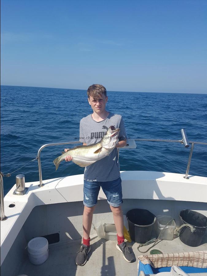 8 lb 2 oz Pollock by Unknown