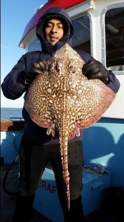 8 lb 2 oz Thornback Ray by Unknown