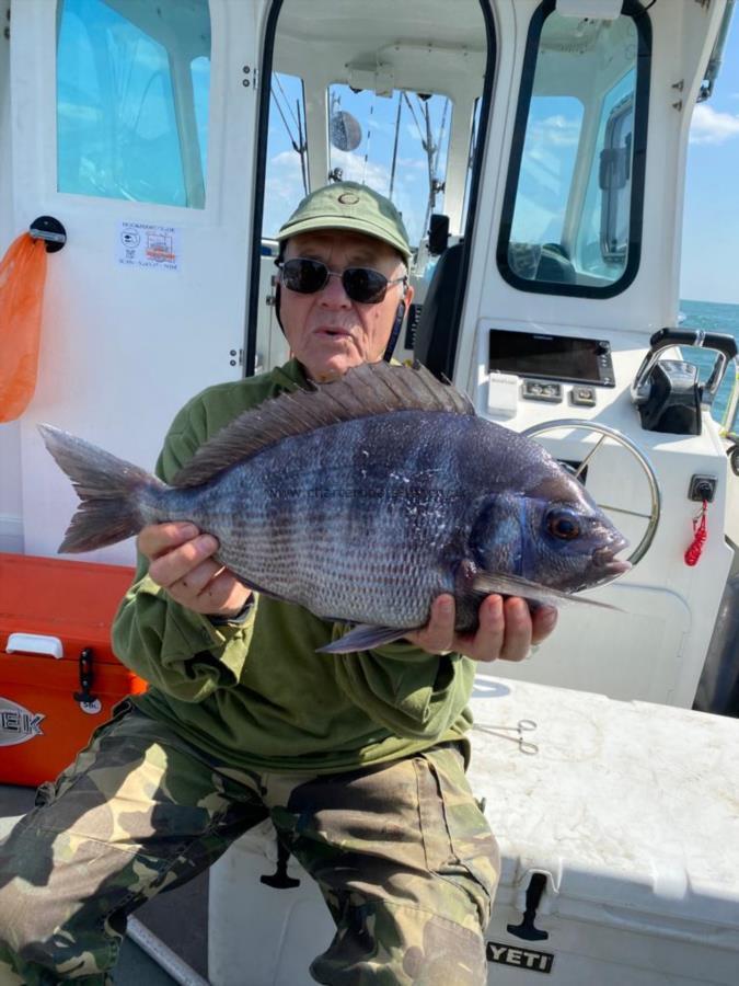 4 lb Black Sea Bream by Bob