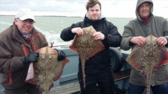 12 lb Thornback Ray by Westgate fishing club