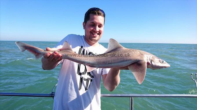 6 lb 4 oz Smooth-hound (Common) by Gary from Kent