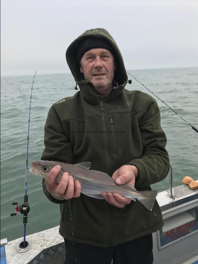 1 lb 4 oz Whiting by Tom M