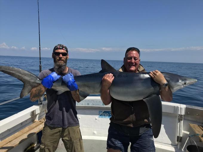 84 lb Blue Shark by Unknown