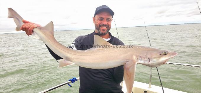 15 lb Starry Smooth-hound by Grant