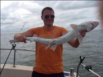 10 lb Smooth-hound by lee