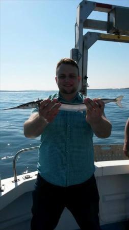 1 lb 3 oz Garfish by Unknown